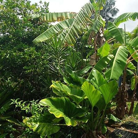 Bungalow Vue Mer Avec Jardin 圣吕斯 外观 照片